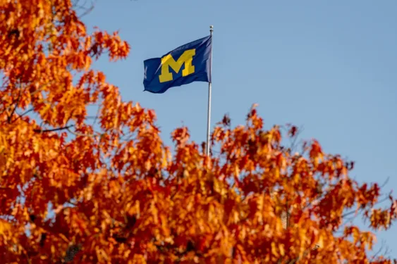 A navy flag with the yellow block M raised above fall foliage