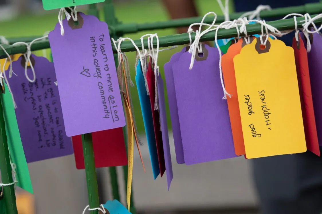 Colorful paper tags with handwritten notes tied with white string to a green wire rack. A purple tag reads, 