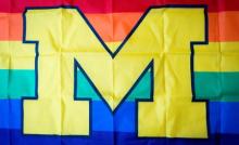 Michigan Pride Flag