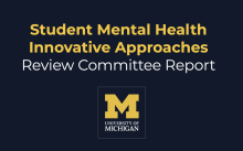 Student Mental Health Innovative Approaches