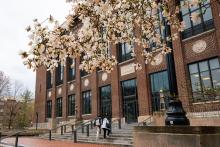 Students walking into a building on U-M's Ann Arbor campus with a flowering tree in front of it.