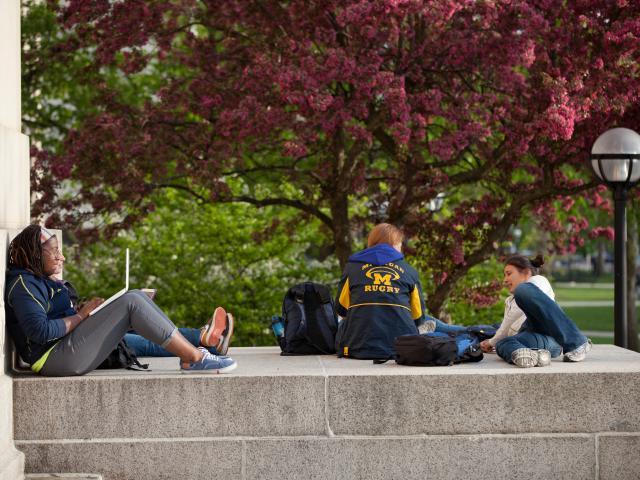 Image of Students Studying Outside